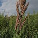 Christopher Rohr Photo 29