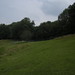 Whitt Smith Photo 17