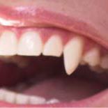 Song Fang Photo 3