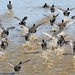 April Coots Photo 14