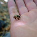 Bee Her Photo 41