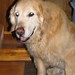 Cheryl Bailey Photo 43