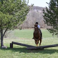 Deborah Vandegrift Photo 5