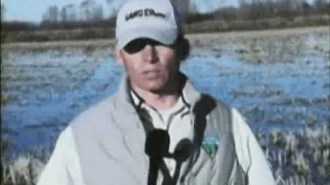 Harry Mcquillen Photo 8