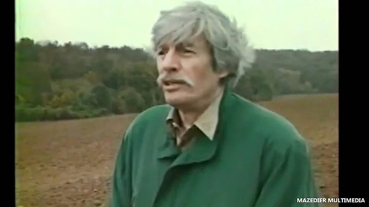Jean Ferrara Photo 16