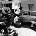 Jack Mayberry Photo 31