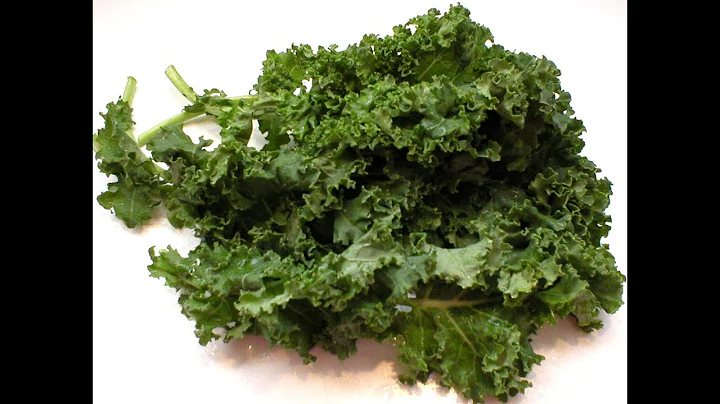 Judy Kale Photo 11