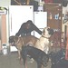 Kathy Sage Photo 32