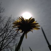 Christine Strother Photo 3