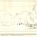 Thelma Gross Photo 11