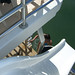 Brad Greenwood Photo 36