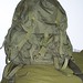Alice Coats Photo 14