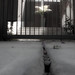 Barbara Gates Photo 35