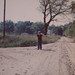 Frances Haynes Photo 36