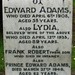 Edward Adams Photo 48