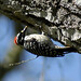 Ryan Nuttall Photo 28
