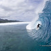 Randal Cook Photo 28