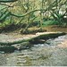 Dean Burns Photo 43