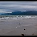 Douglas Rains Photo 21