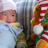 Cindy Feng Photo 9