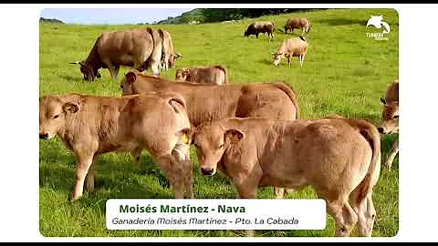 Moises Nava Photo 22