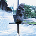 Donald Fountain Photo 24