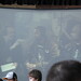 Larry Dorsey Photo 42