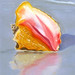 Angela Shell Photo 32