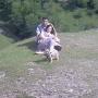 Kelly Vine Photo 11