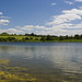 Richard Wark Photo 25
