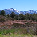 James Pass Photo 35