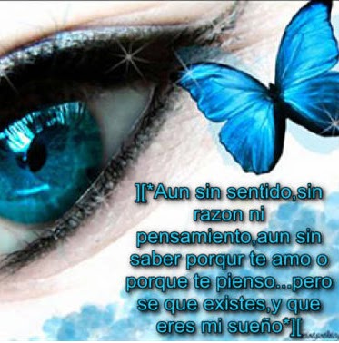 Damaris Maldonado Photo 10