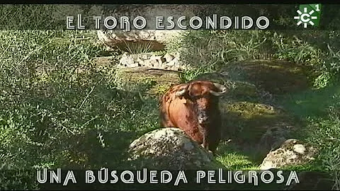 Cayetano Munoz Photo 1