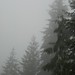 Lynn Parrott Photo 28