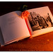 Robert Lavergne Photo 27