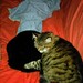 Bruce Sleeper Photo 23