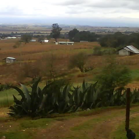 Guadalupe Escamilla Photo 12