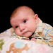Alexander Cooley Photo 16