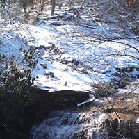 Kevin Staggs Photo 3
