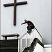 Alan Roll Photo 19