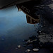 David Boys Photo 15