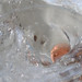 Penny Waters Photo 34