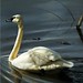 Karen Painter Photo 43