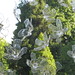 Craig Marlow Photo 35