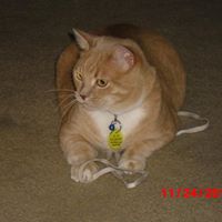 Tracy Burkholder Photo 4