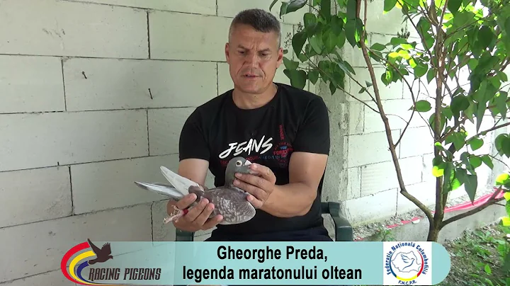 Gheorghe Preda Photo 8