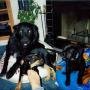 Sharon Duvall Photo 21