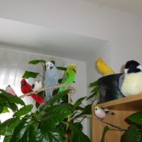 Gail Paton Photo 4