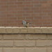 Jeff Breeding Photo 21