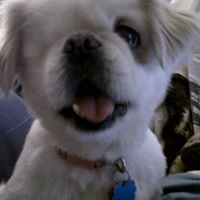 Elizabeth Applegate Photo 1